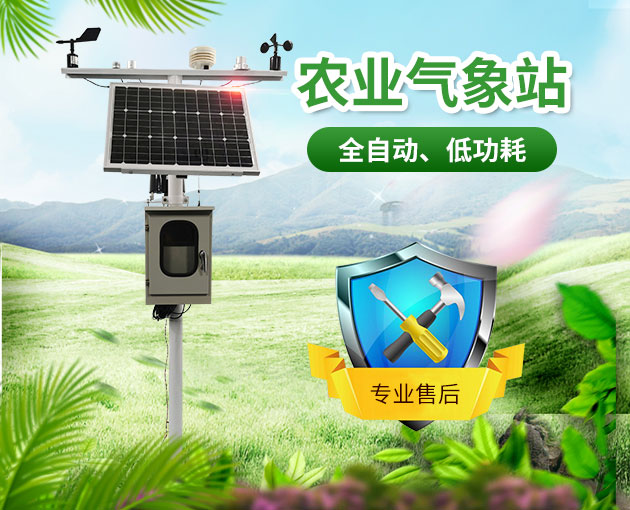 山東地區(qū)無(wú)公害葡萄種植需要什么條件？